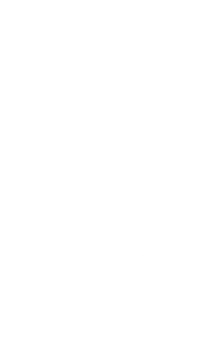 decorator